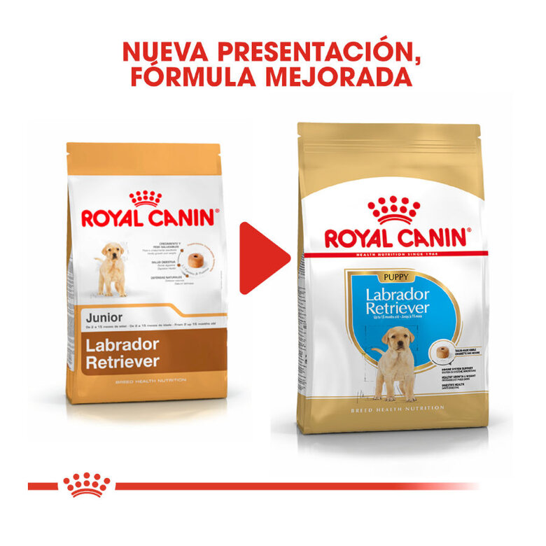 Royal Canin Puppy Labrador Retriever ração para cães, , large image number null